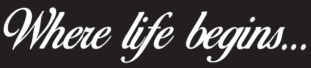 wheere-life-begin